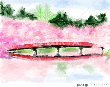 桜と赤い橋 イラストのイラスト素材