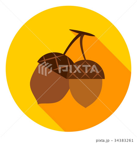Acorns Circle Icon 34383261
