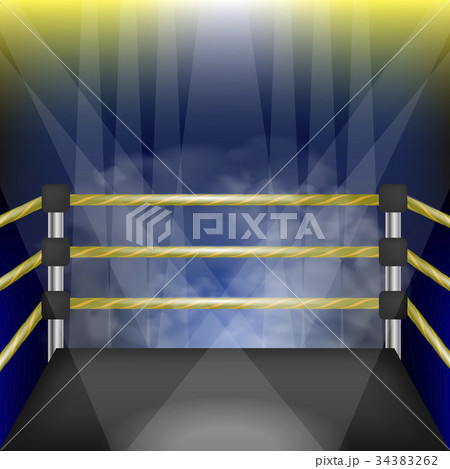 Professional Empty Boxing Ring 34383262