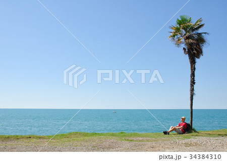 Man with backpack sits under a tall palm tree Man with backpack sits under a tall palm tree 34384310