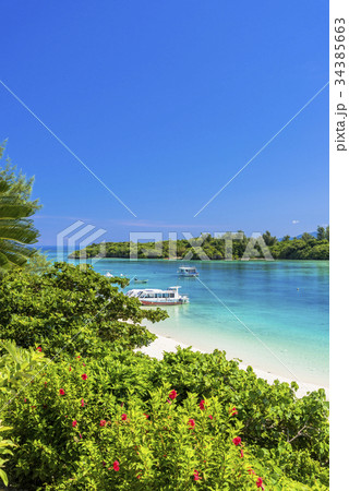石垣島の川平湾のサンゴ礁の海 34385663