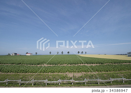 北海道 女満別 メルヘンの丘 北海道 女満別 メルヘンの丘 34386947