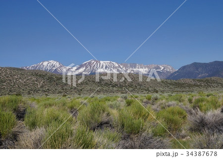 アメリカのモノ湖から見たシエラネバダ山脈 の写真素材