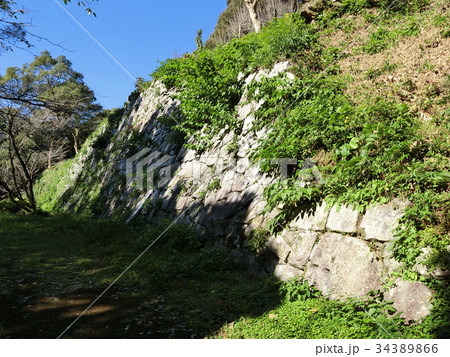 高鍋城 石垣 34389866