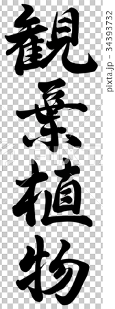 Foliage plant Foliage plant 34393732