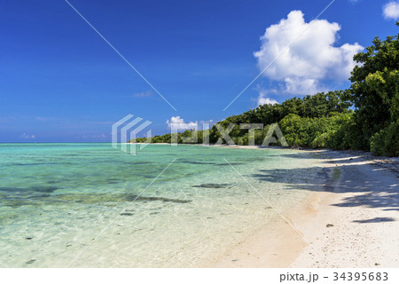 竹富島のサンゴ礁美しいカイジ浜 34395683