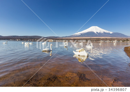 Mountain Fuji from lake yamanakako clear sky day Mountain Fuji from lake yamanakako clear sky day 34396807