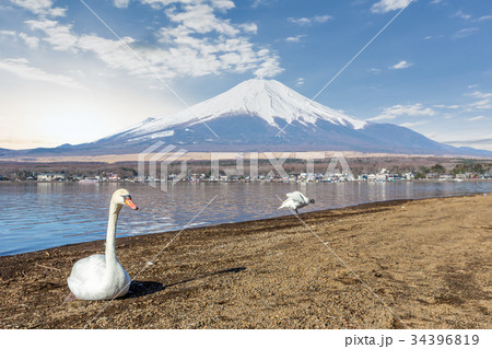 Mountain Fuji from lake yamanakako clear sky day 34396819