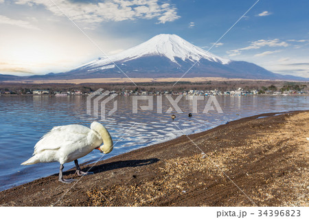 Mountain Fuji from lake yamanakako clear sky day 34396823