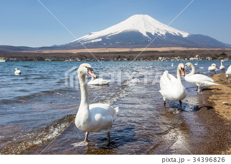 Mountain Fuji from lake yamanakako clear sky day 34396826
