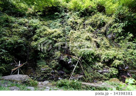 安曇野　延命水　3 34398381