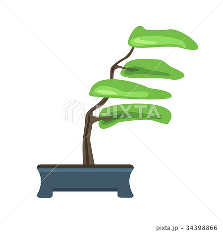Bonsai tree in a pot. Japanese art of growing Bonsai tree in a pot. Japanese art of growing 34398866
