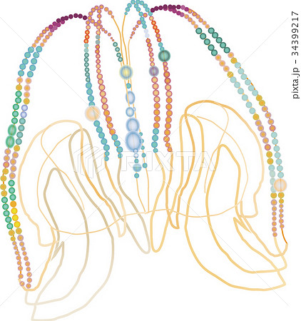 カブトクラゲ(青と緑) カブトクラゲ(青と緑) 34399217