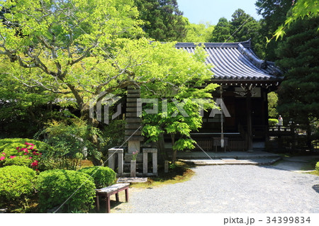 京都 泉涌寺塔頭 新善光寺 京都 泉涌寺塔頭 新善光寺 34399834