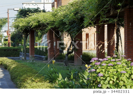 荒川緑地 荒川緑地 34402331