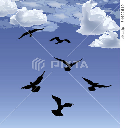 Flock bird flying Sky background Animal wildlife 34402610