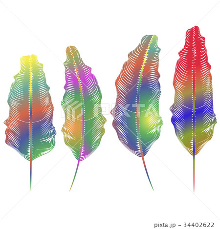Set of Different Colorful Feathers Set of Different Colorful Feathers 34402622