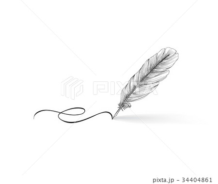 Feather Pen Icon Calligraphy Sign Stock Illustration - Download Image Now -  Writing - Activity, Quill Pen, Feather - iStock