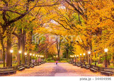 Central Park Autumn 34404996