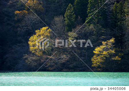 湖岸の春 湖岸の春 34405006