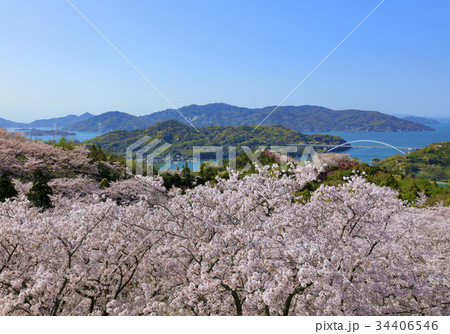 開山公園 開山公園 34406546