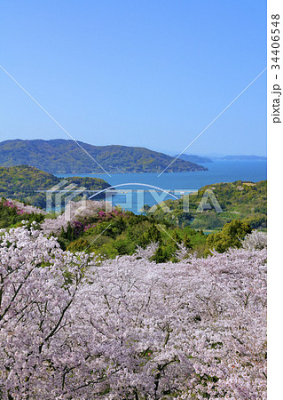 開山公園 開山公園 34406548