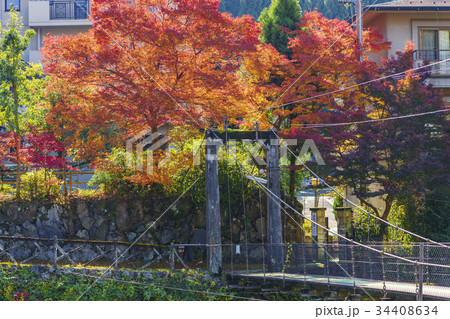 京都　八瀬の紅葉 34408634