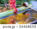 日本の秋　水面ともみじ　No.2 34408639