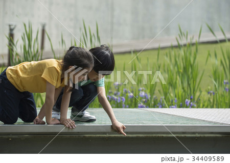 指す 指さす 子供 34409589