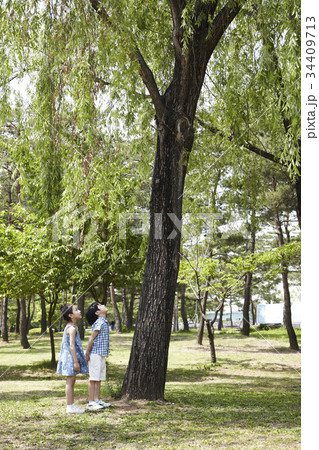 起立 立つ 子供同士 34409713