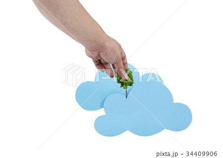 雲 木 コンセプト 34409906
