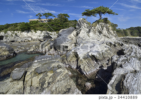 三浦半島 荒崎公園 弁天島と松 34410889