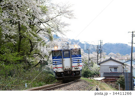 新潟県五泉市 磐越線の列車と咲花駅付近の桜 新潟県五泉市 磐越線の列車と咲花駅付近の桜 34411266