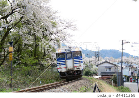 新潟県五泉市　磐越線の列車と咲花駅付近の桜 34411269