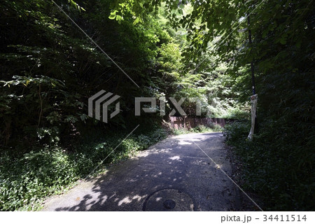 鎌倉の切通し 亀ヶ坂 鎌倉の切通し 亀ヶ坂 34411514