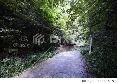 鎌倉の切通し 亀ヶ坂 鎌倉の切通し 亀ヶ坂 34411519