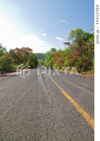Road and Collorful of Tree in Countryside Thailand Road and Collorful of Tree in Countryside Thailand 34412564