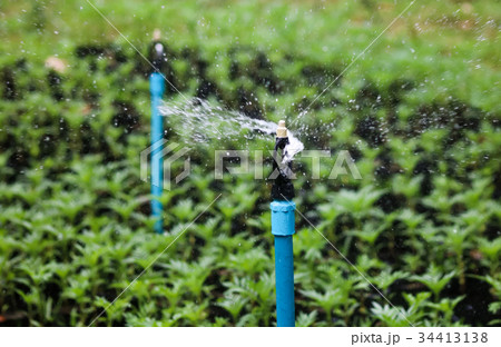 Water sprinkler running to watering plants Water sprinkler running to watering plants 34413138