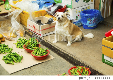 釜田市場　野菜売場 34413333