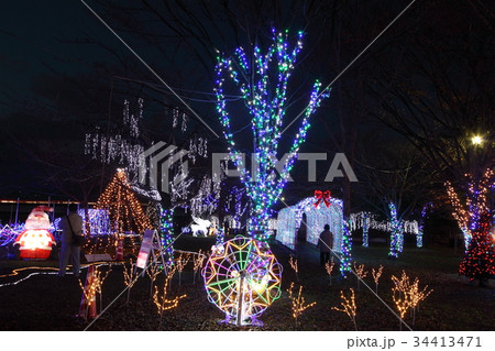 瀬田唐橋公園のイルミネーション 瀬田唐橋公園のイルミネーション 34413471