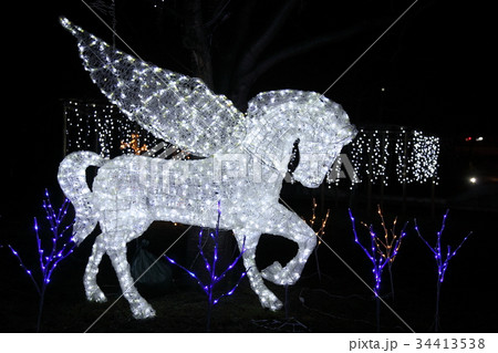 瀬田唐橋公園のイルミネーション 34413538