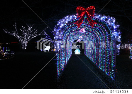 瀬田唐橋公園のイルミネーション 瀬田唐橋公園のイルミネーション 34413553