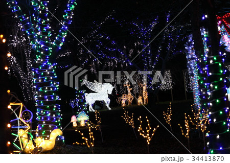 瀬田唐橋公園のイルミネーション 34413870