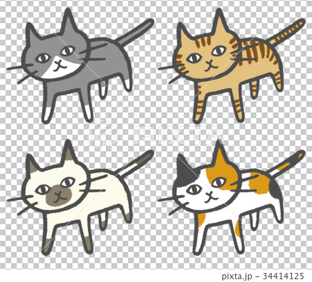 猫４匹 34414125