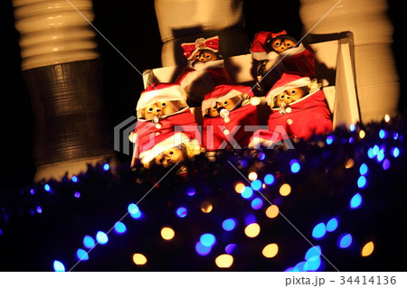 信楽のイルミネーション 34414136
