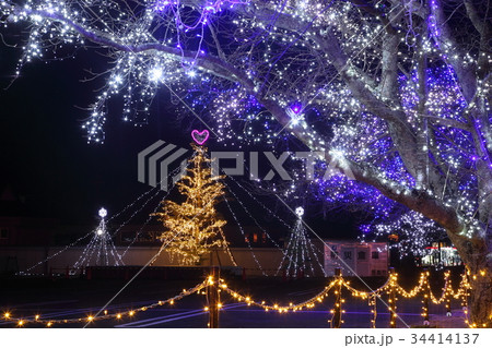 信楽のイルミネーション 34414137