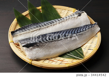 鯖 鯖 34414542