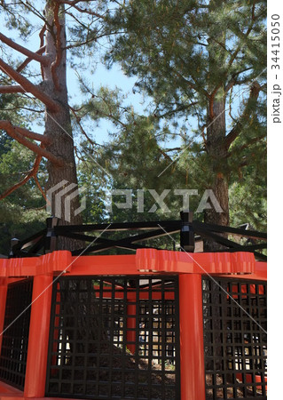 三鈷の松２０１６年その２ 34415050