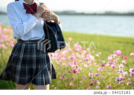 コスモスの道を歩く女子高生 34415181