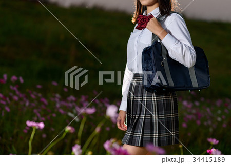 コスモスの道を歩く女子高生 34415189